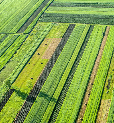photography of green fields